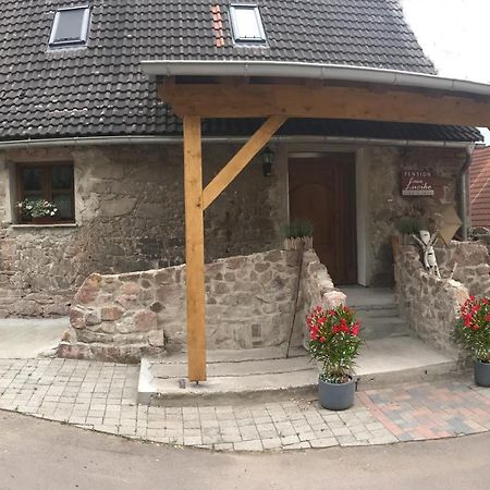 Pension Casa Luciko Brachwitz Bagian luar foto